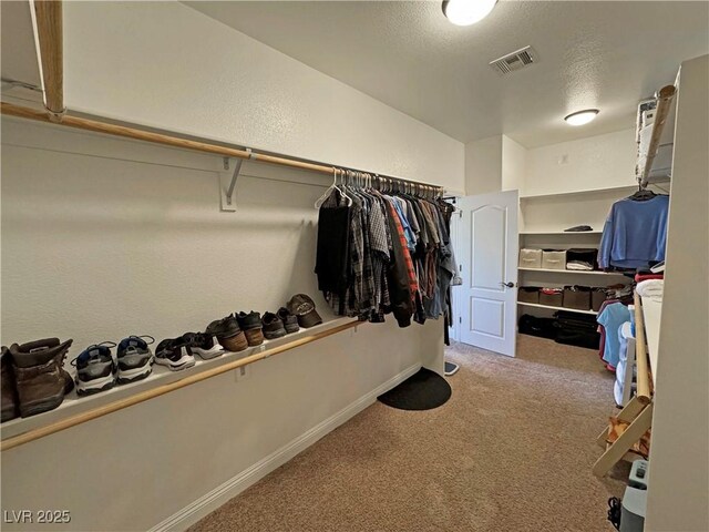1361 Moose St, Pahrump, NV 89048 - walk in closet with carpet floors
