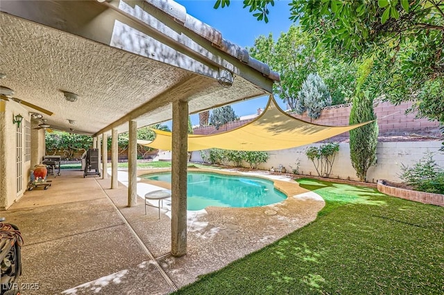 1905 Dakota Hills Ave, Las Vegas, NV 89123 - view of pool with a fenced backyard and a patio area