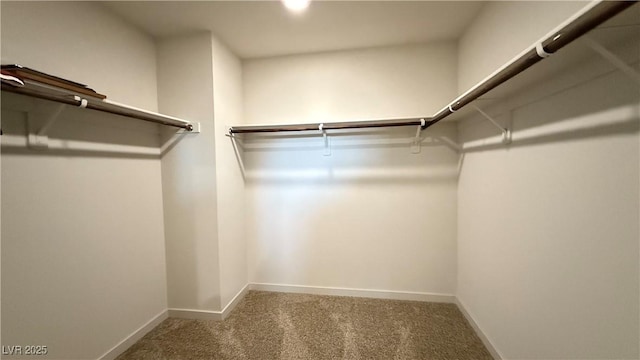 2924 Sunday Silence Rd, North Las Vegas, NV 89086 - walk in closet with carpet