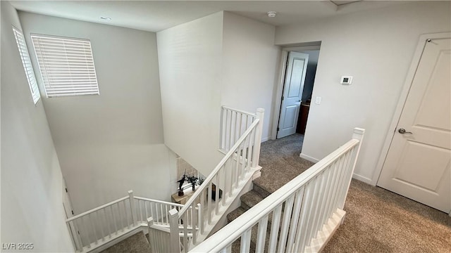 2924 Sunday Silence Rd, North Las Vegas, NV 89086 - staircase with carpet flooring and baseboards