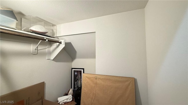 2924 Sunday Silence Rd, North Las Vegas, NV 89086 - view of spacious closet