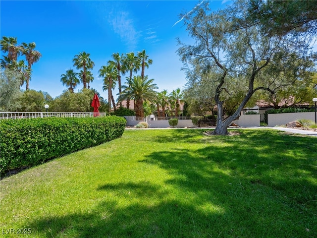 2104 Plaza De La Candela, Las Vegas, NV 89102 - view of yard