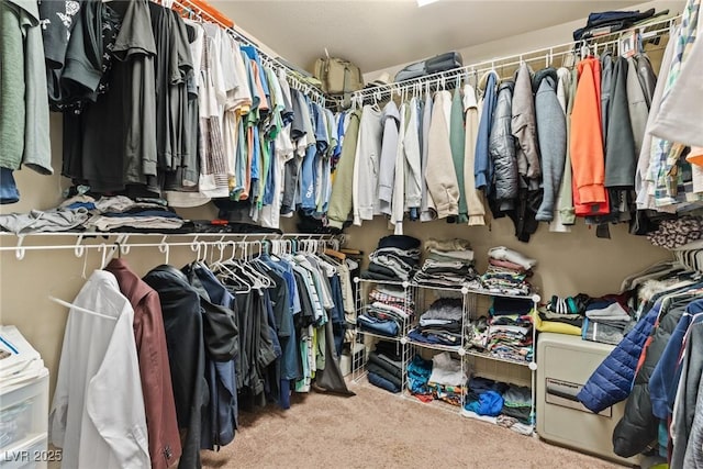 6714 Flamenco Ct, Las Vegas, NV 89139 - walk in closet with carpet