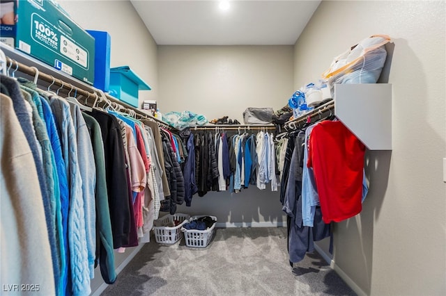 11672 Barga Ct, Las Vegas, NV 89138 - walk in closet featuring carpet flooring