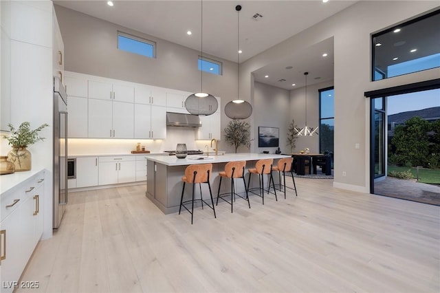 10781 Agate Cliffs Ave, Las Vegas, NV 89135 - kitchen featuring a towering ceiling, exhaust hood, modern cabinets, light wood finished floors, and a breakfast bar area