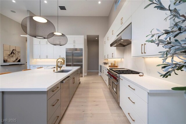10781 Agate Cliffs Ave, Las Vegas, NV 89135 - kitchen with under cabinet range hood, high quality appliances, light wood-style floors, gray cabinetry, and recessed lighting
