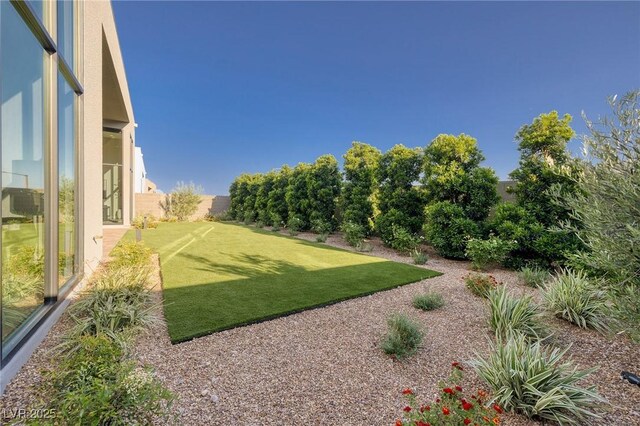 10781 Agate Cliffs Ave, Las Vegas, NV 89135 - view of yard
