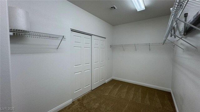 10066 Golden Bluff Ave, Las Vegas, NV 89148 - spacious closet with carpet floors