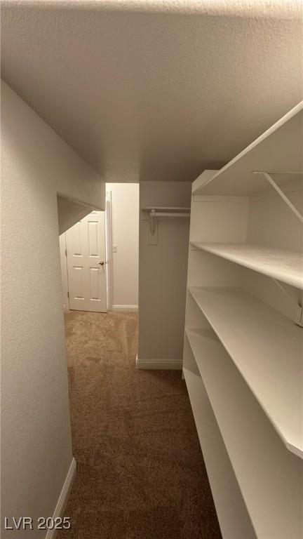 10066 Golden Bluff Ave, Las Vegas, NV 89148 - spacious closet with carpet floors