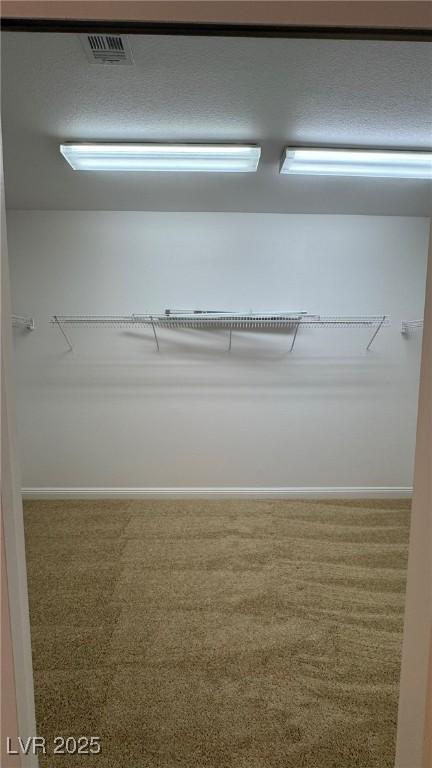 10066 Golden Bluff Ave, Las Vegas, NV 89148 - spacious closet featuring carpet