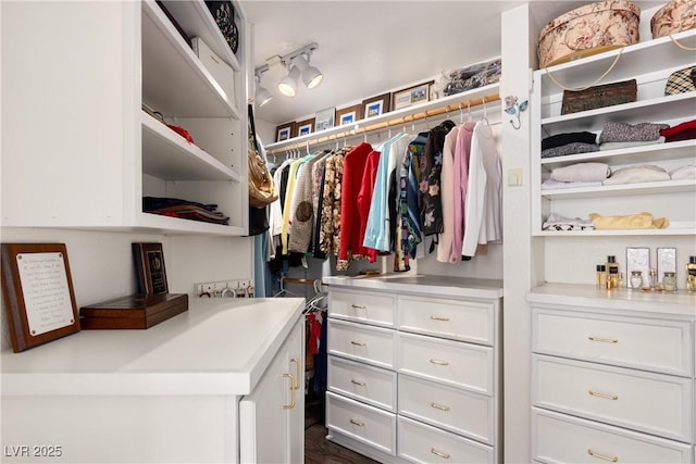 5104 Burr Oak Dr, Las Vegas, NV 89130 - view of spacious closet