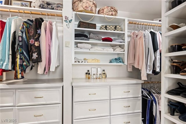 5104 Burr Oak Dr, Las Vegas, NV 89130 - view of spacious closet