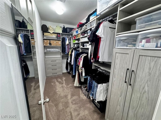 7035 Thistle Ridge St, Las Vegas, NV 89166 - spacious closet featuring carpet
