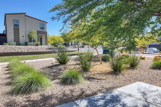 532 Clearsable Ave, Henderson, NV 89044 - view of yard