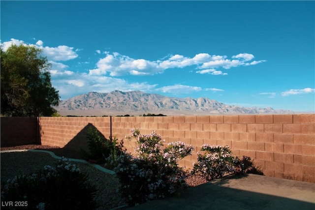 8616 Willow Cabin St, Las Vegas, NV 89131 - fenced backyard with a mountain view