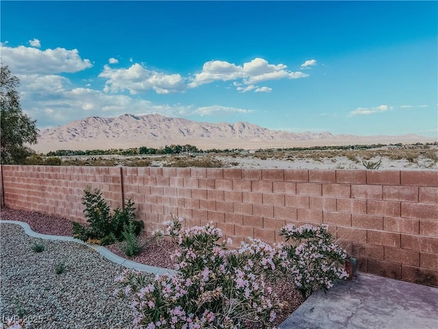 8616 Willow Cabin St, Las Vegas, NV 89131 - view of yard featuring a mountain view