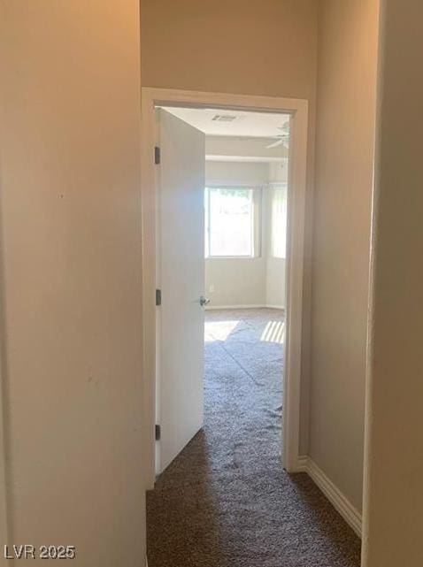 6412 Starling Mesa St, North Las Vegas, NV 89086 - hallway with carpet flooring