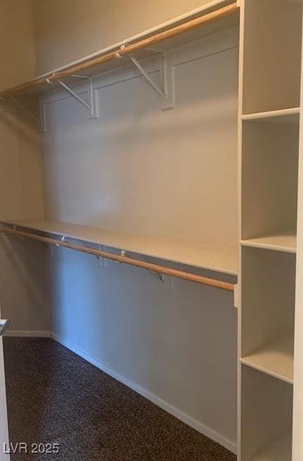 6412 Starling Mesa St, North Las Vegas, NV 89086 - view of spacious closet