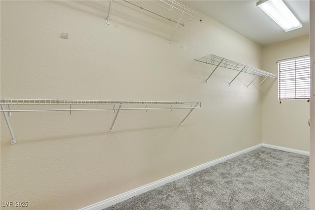8745 Dodds Canyon St, Las Vegas, NV 89131 - spacious closet with carpet