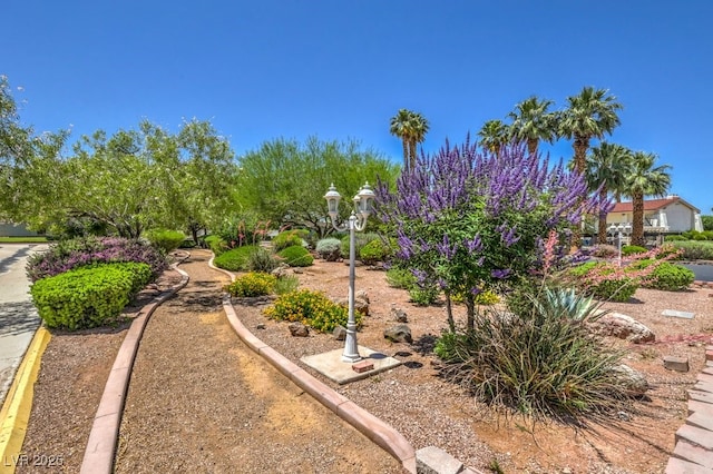 5713 Whiteridge Ave, Las Vegas, NV 89107 - view of yard