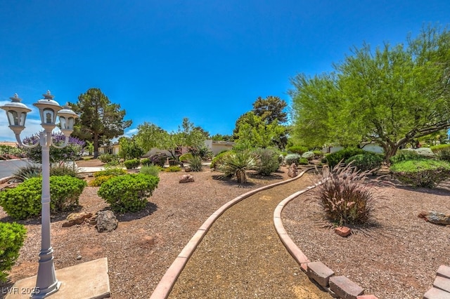 5713 Whiteridge Ave, Las Vegas, NV 89107 - view of yard