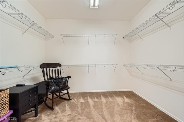 7465 Widewing Dr, North Las Vegas, NV 89084 - spacious closet featuring carpet floors