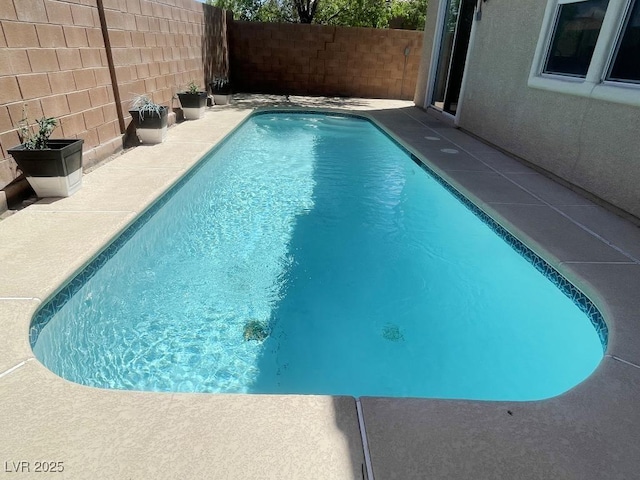 740 White Grotto St, Las Vegas, NV 89138 - view of swimming pool