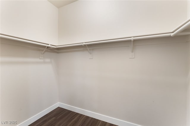 6140 Passionate Ct, North Las Vegas, NV 89031 - walk in closet with dark wood-style flooring