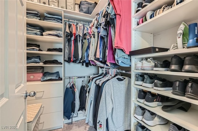 8490 Classique Ave Unit 101, Las Vegas, NV 89178 - view of walk in closet