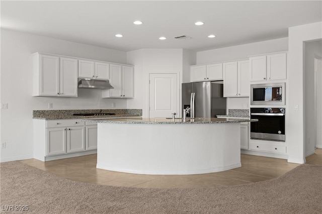 1398 Pin Cushion Rdg, Mesquite, NV 89034 - kitchen with stainless steel appliances, under cabinet range hood, recessed lighting, white cabinetry, and dark stone countertops