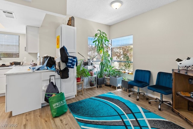 2643 Red Rock St Unit 201, Las Vegas, NV 89146 - office space with light wood finished floors and a textured ceiling
