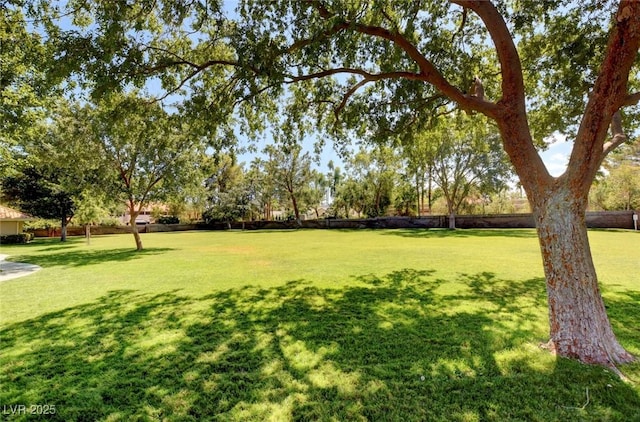 2345 Villandry Ct, Henderson, NV 89074 - view of grassy yard