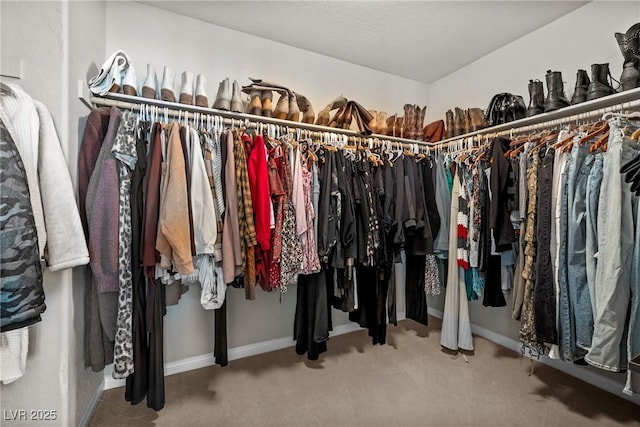 10474 Palmadora St, Las Vegas, NV 89178 - walk in closet with carpet