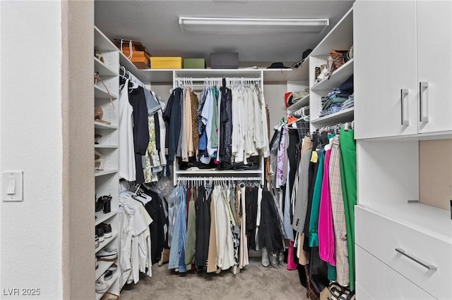 15 Pheasant Ridge Dr, Henderson, NV 89014 - view of spacious closet