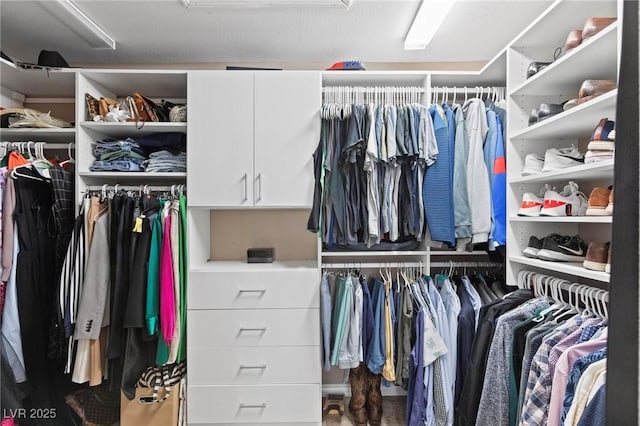 15 Pheasant Ridge Dr, Henderson, NV 89014 - view of spacious closet