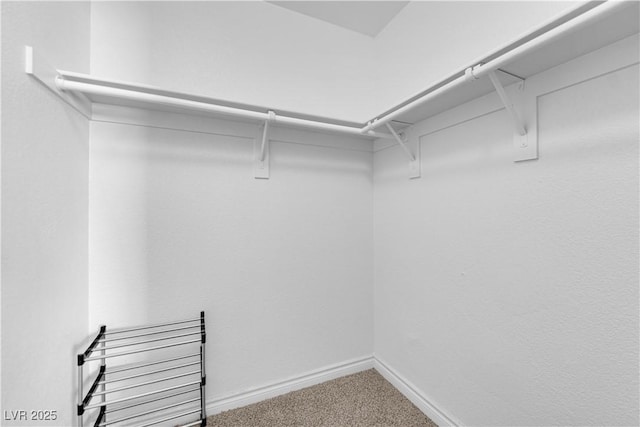 2451 N Rainbow Blvd Unit 2043, Las Vegas, NV 89108 - walk in closet featuring carpet flooring