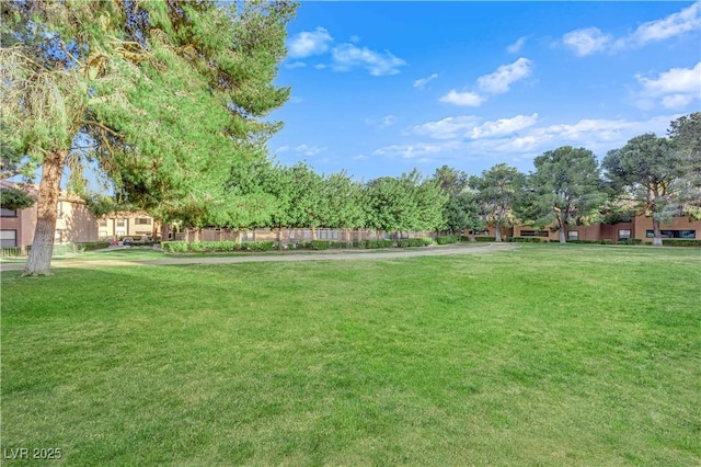 2451 N Rainbow Blvd Unit 2043, Las Vegas, NV 89108 - view of grassy yard