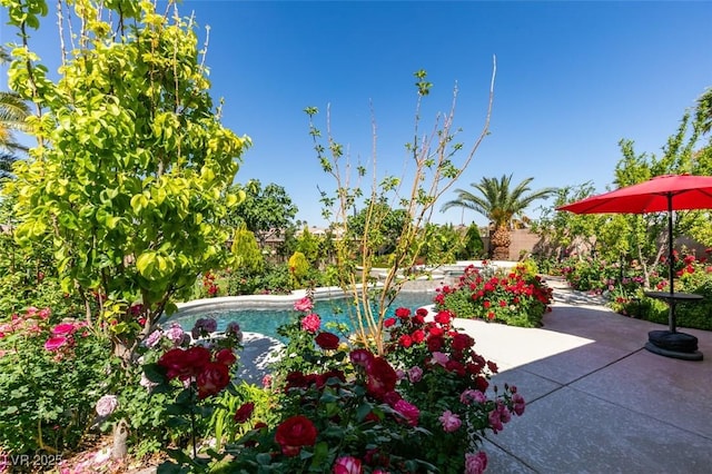 8221 Bay Dunes St, Las Vegas, NV 89131 - swimming pool with a patio