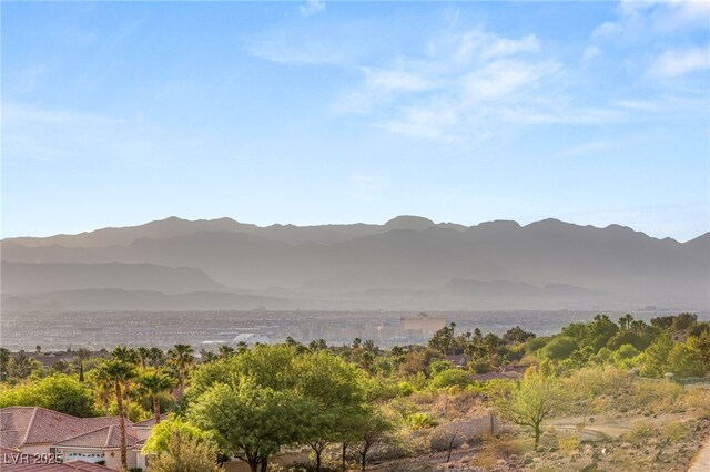 1383 Opal Valley St, Henderson, NV 89052 - photo 40