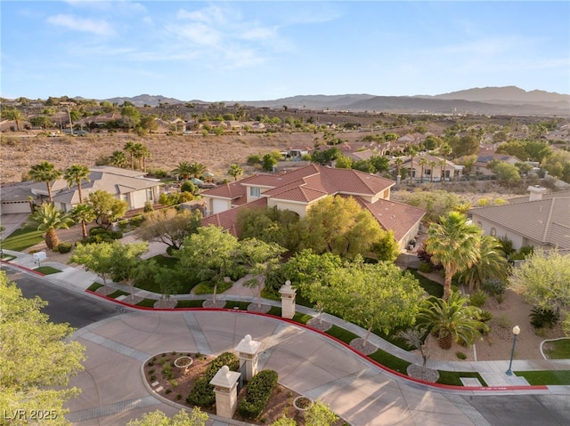 1383 Opal Valley St, Henderson, NV 89052 - photo 53