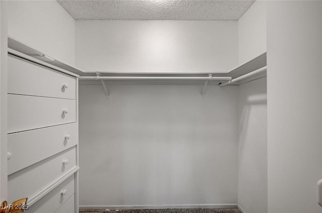 3143 El Chico Ct, Las Vegas, NV 89120 - spacious closet with carpet floors
