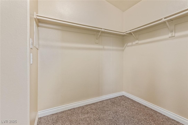 3037 Austin Pale Ave, North Las Vegas, NV 89081 - walk in closet with carpet floors