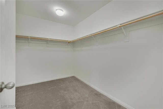 10345 Zebra Swallowtail St, Las Vegas, NV 89141 - spacious closet featuring carpet flooring