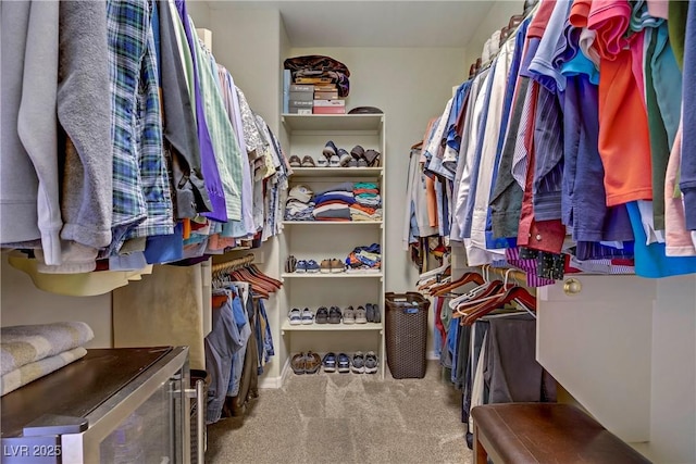 6440 Bristlebird St, North Las Vegas, NV 89084 - spacious closet with carpet floors