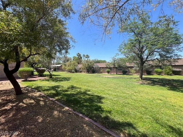 6445 Ironbark Ln, Las Vegas, NV 89107 - view of green lawn