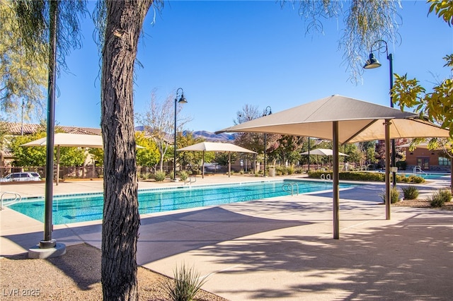 2369 Via Barranca St, Henderson, NV 89044 - community pool featuring a patio
