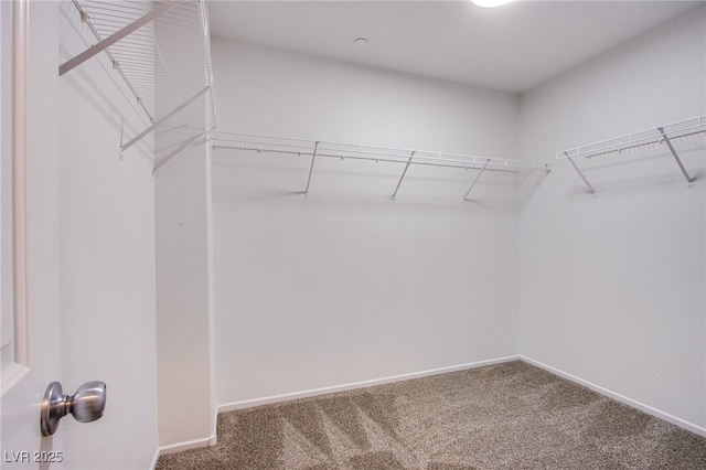 2369 Via Barranca St, Henderson, NV 89044 - spacious closet with carpet