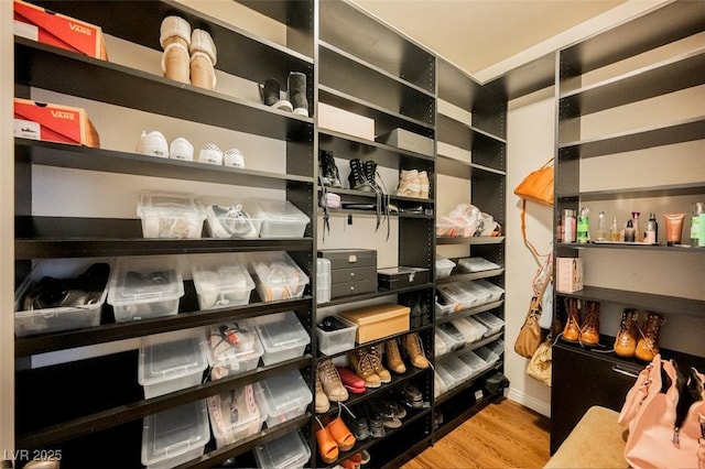 132 Soaring Sky Ave, Henderson, NV 89011 - view of storage