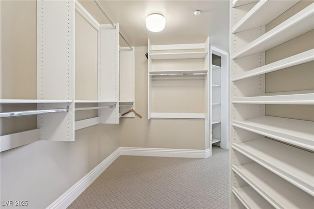 222 Karen Ave Unit 3208, Las Vegas, NV 89109 - spacious closet with carpet flooring