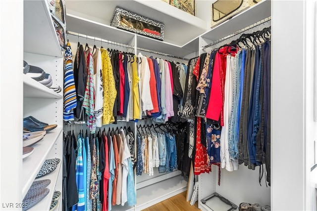 10504 Button Willow Dr, Las Vegas, NV 89134 - spacious closet with wood finished floors